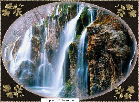 cum pot sa intru in forum sa vad mai multe persoane care sunt inscrise acolo ? imagine la semnatura?